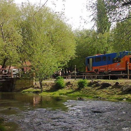 إل كالافاتي Camping Y Hostal El Ovejero المظهر الخارجي الصورة